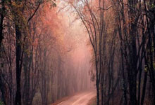 随县拉卡拉个人POS机怎么办理