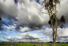 随县拉卡拉个人POS机怎么办理